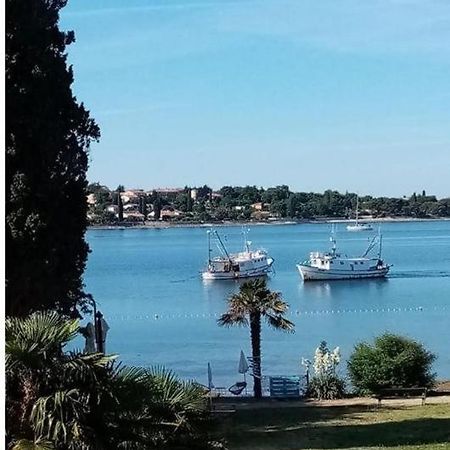 Apartment Villa Angelina, 70M From The Beach, Free Parking Novigrad  Bagian luar foto