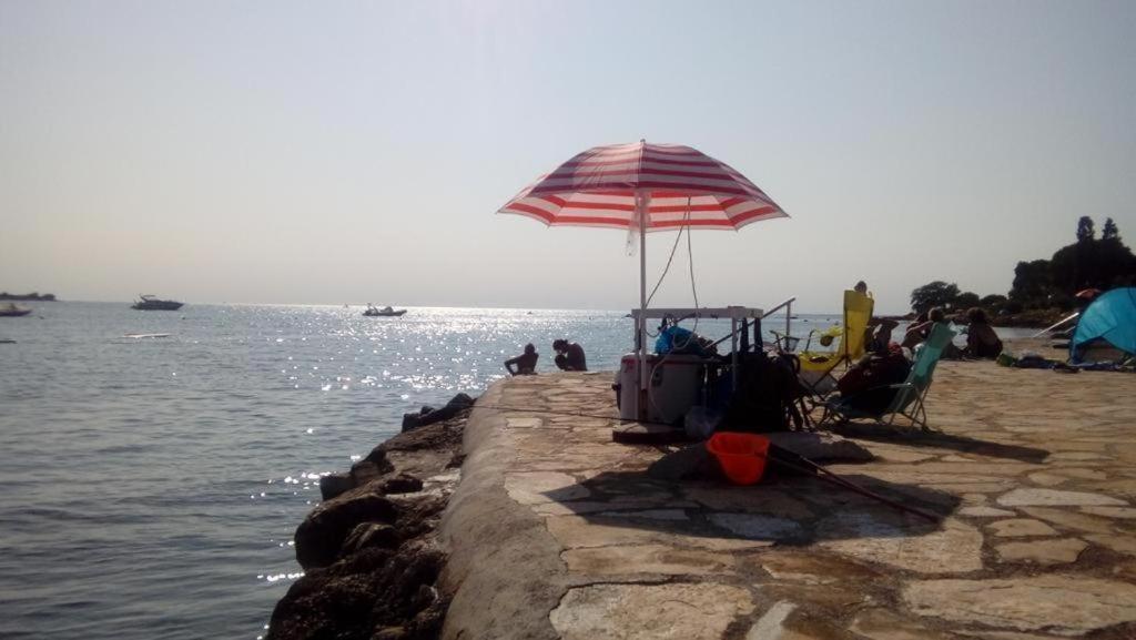 Apartment Villa Angelina, 70M From The Beach, Free Parking Novigrad  Bagian luar foto