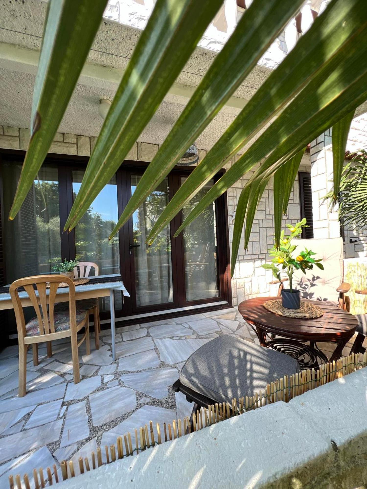 Apartment Villa Angelina, 70M From The Beach, Free Parking Novigrad  Bagian luar foto