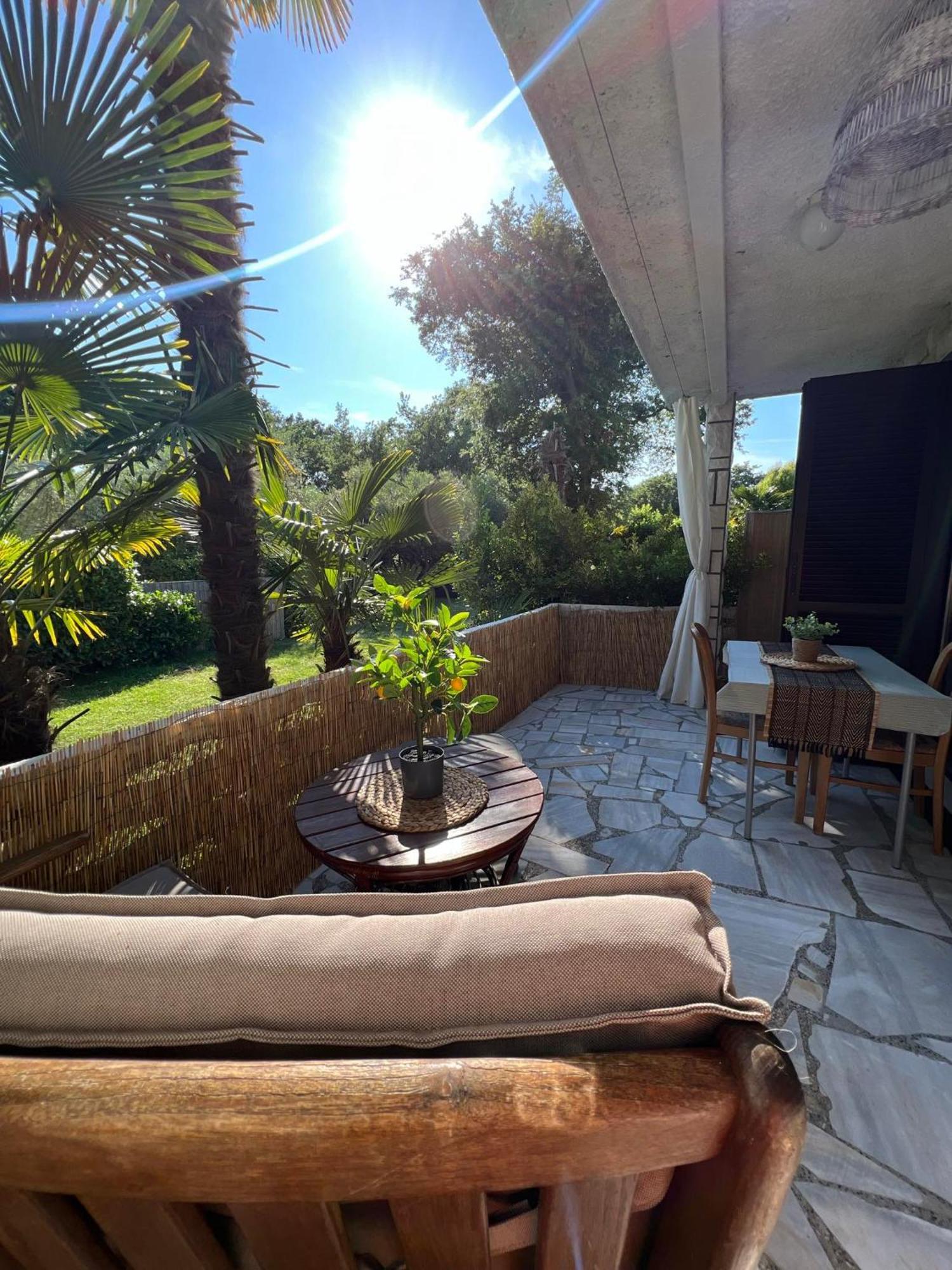 Apartment Villa Angelina, 70M From The Beach, Free Parking Novigrad  Bagian luar foto